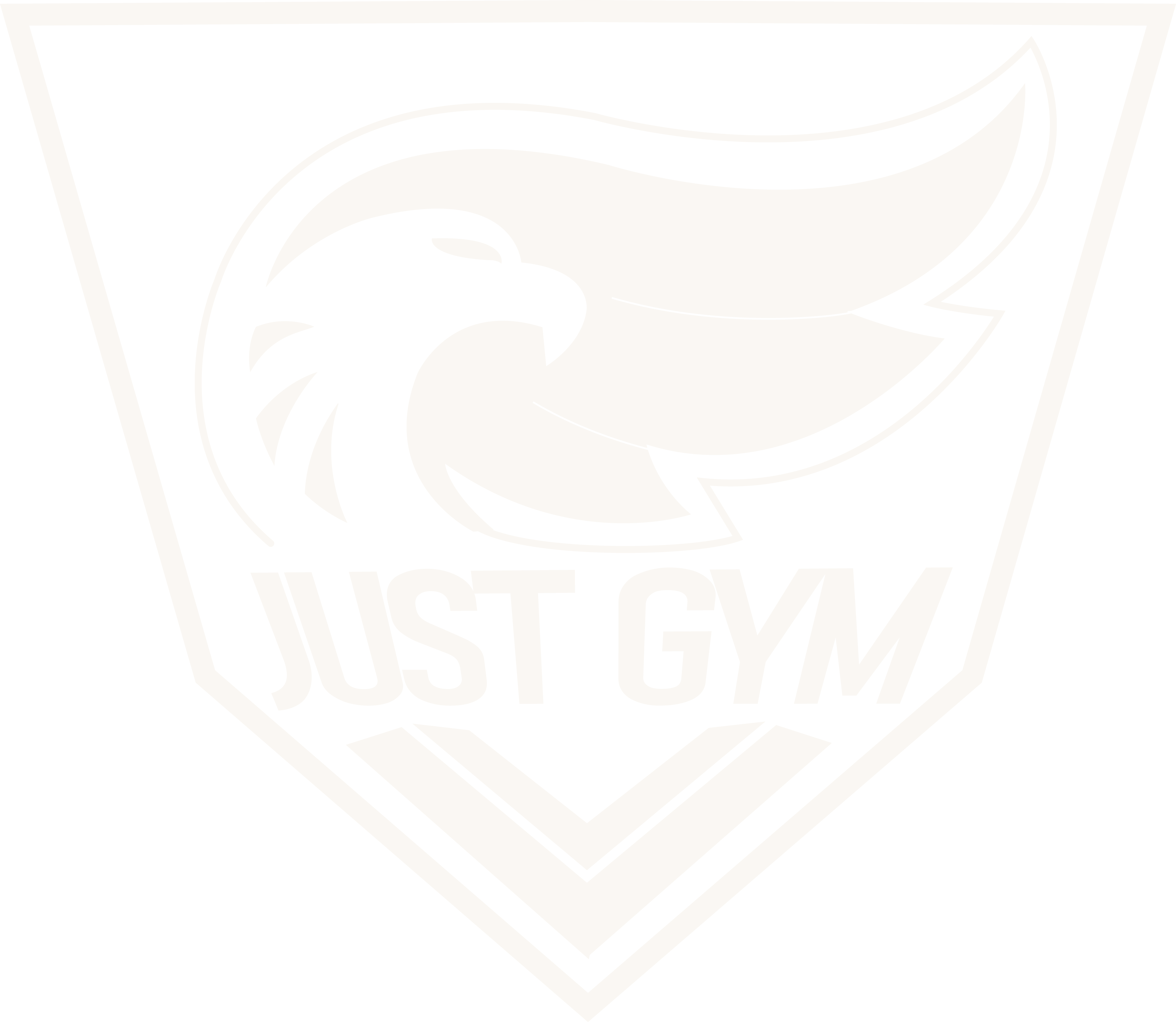 JUST GYM
